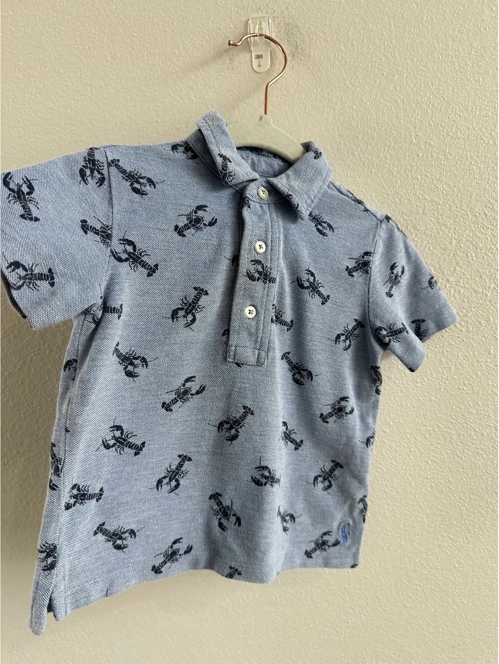 Ralph Lauren Boys Polo Lobster Shirt Size 24M